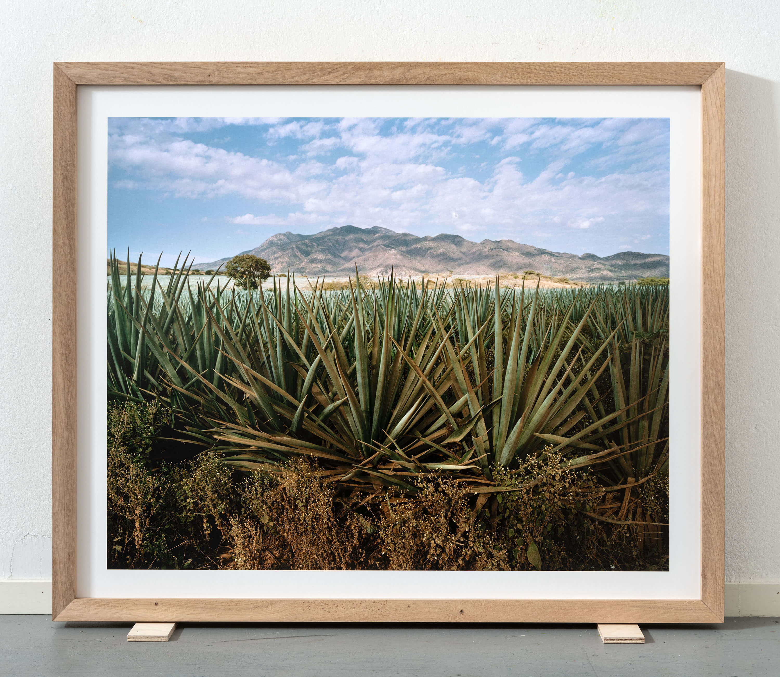 Tequila-Erik-Hagman-211023-3427